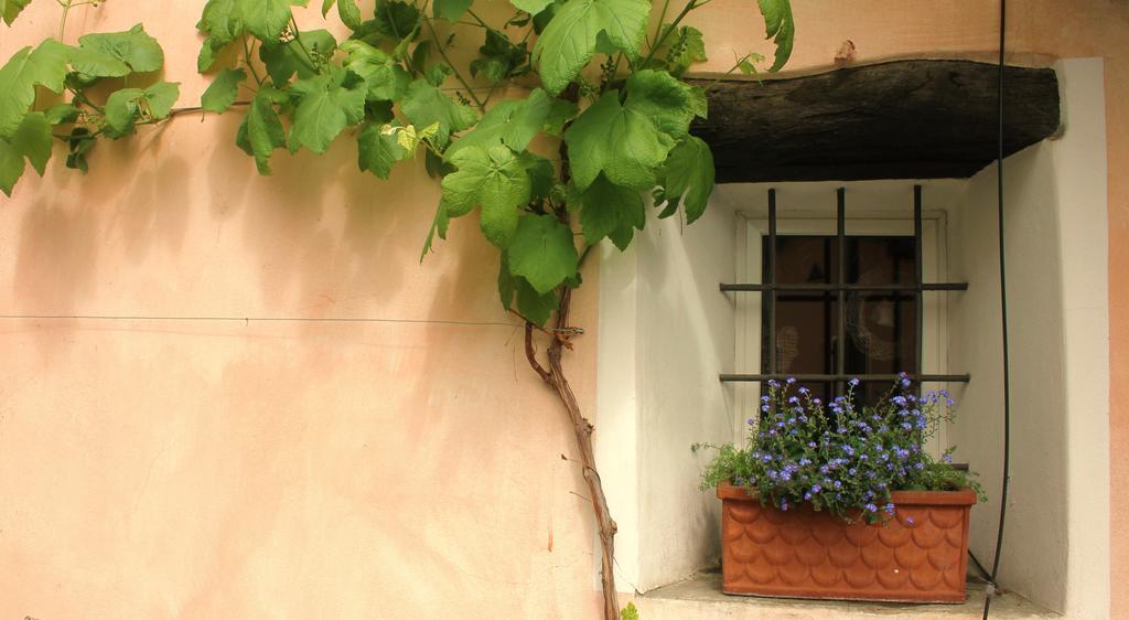 Casa Don Bosco Βίλα Λοκάρνο Δωμάτιο φωτογραφία